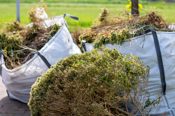 Best Hoarding Cleanup  in River Rouge, MI