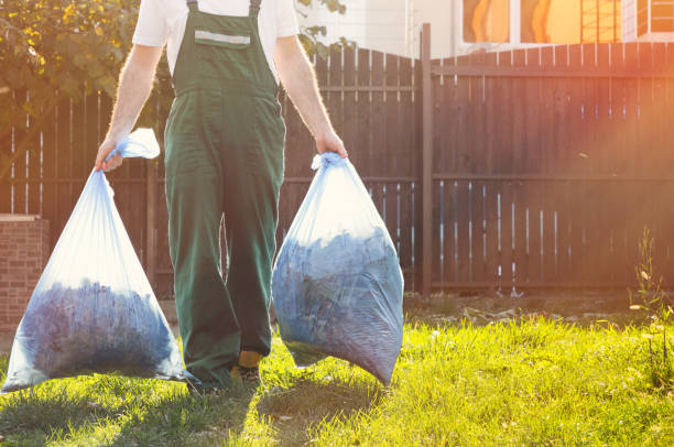 Best Demolition Debris Removal  in River Rouge, MI